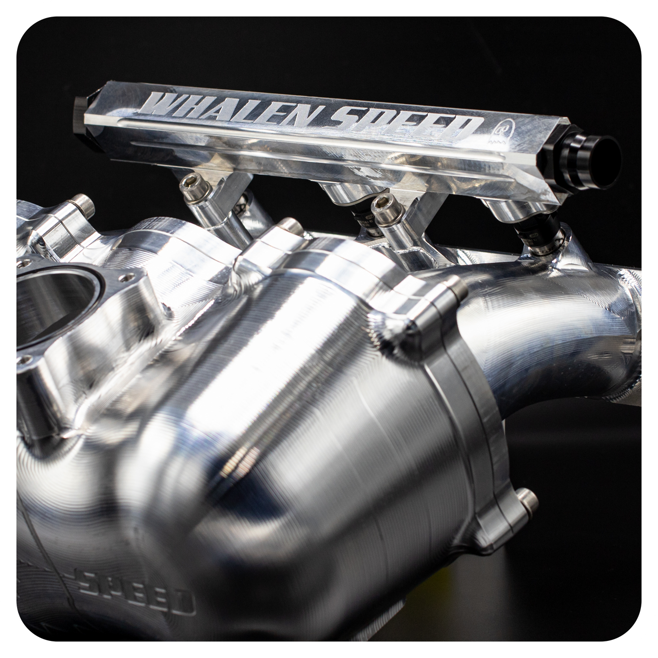 Fuel System, Fuel Rails & Accessories