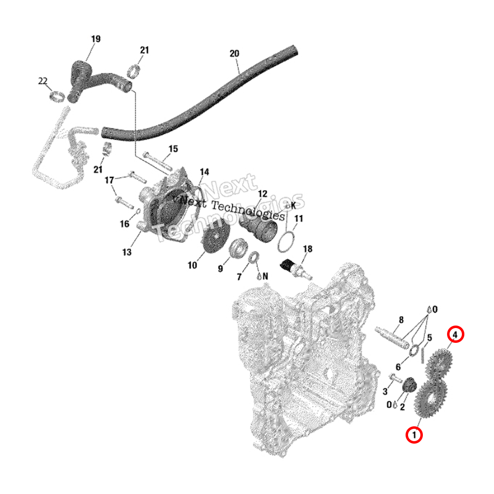 can gear WSRD Complete BRP Water & Oil Pump Gear Set